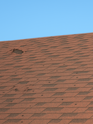 1b2e3c49-8758-4bcc-901d-8cf128b8acb4